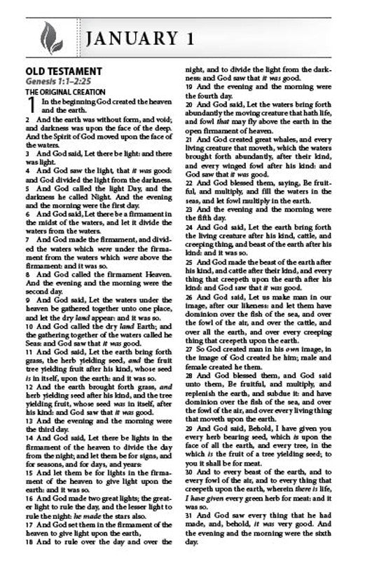 The Daily Reading Plan Bible : Nightingale