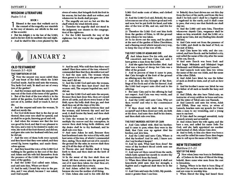 The Daily Reading Plan Bible : Nightingale