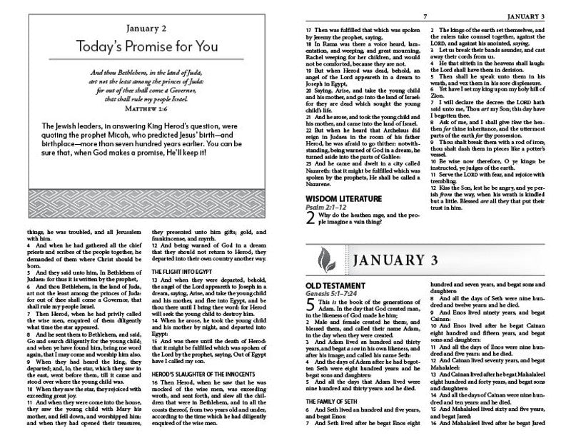 The Daily Reading Plan Bible : Nightingale