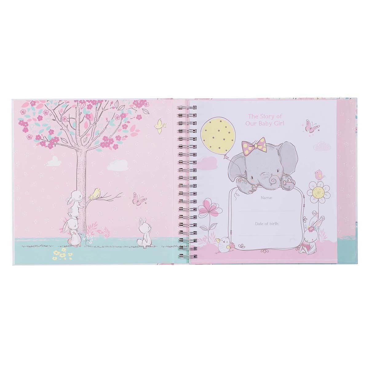 Our Baby Girl's First Year Memory Book
