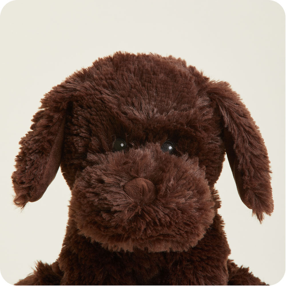 Chocolate Labrador Warmies® Stuffed Animal