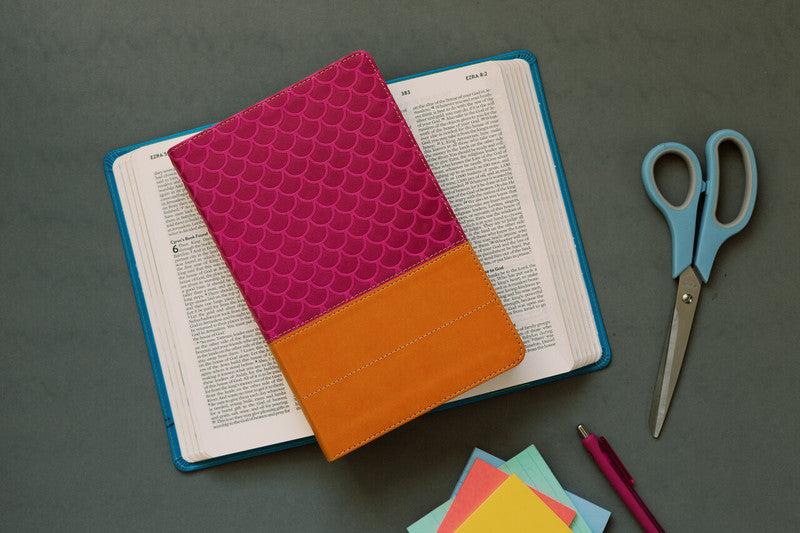 Know Your Bible NLV BIble for Kids : Pink & Orange Scallops