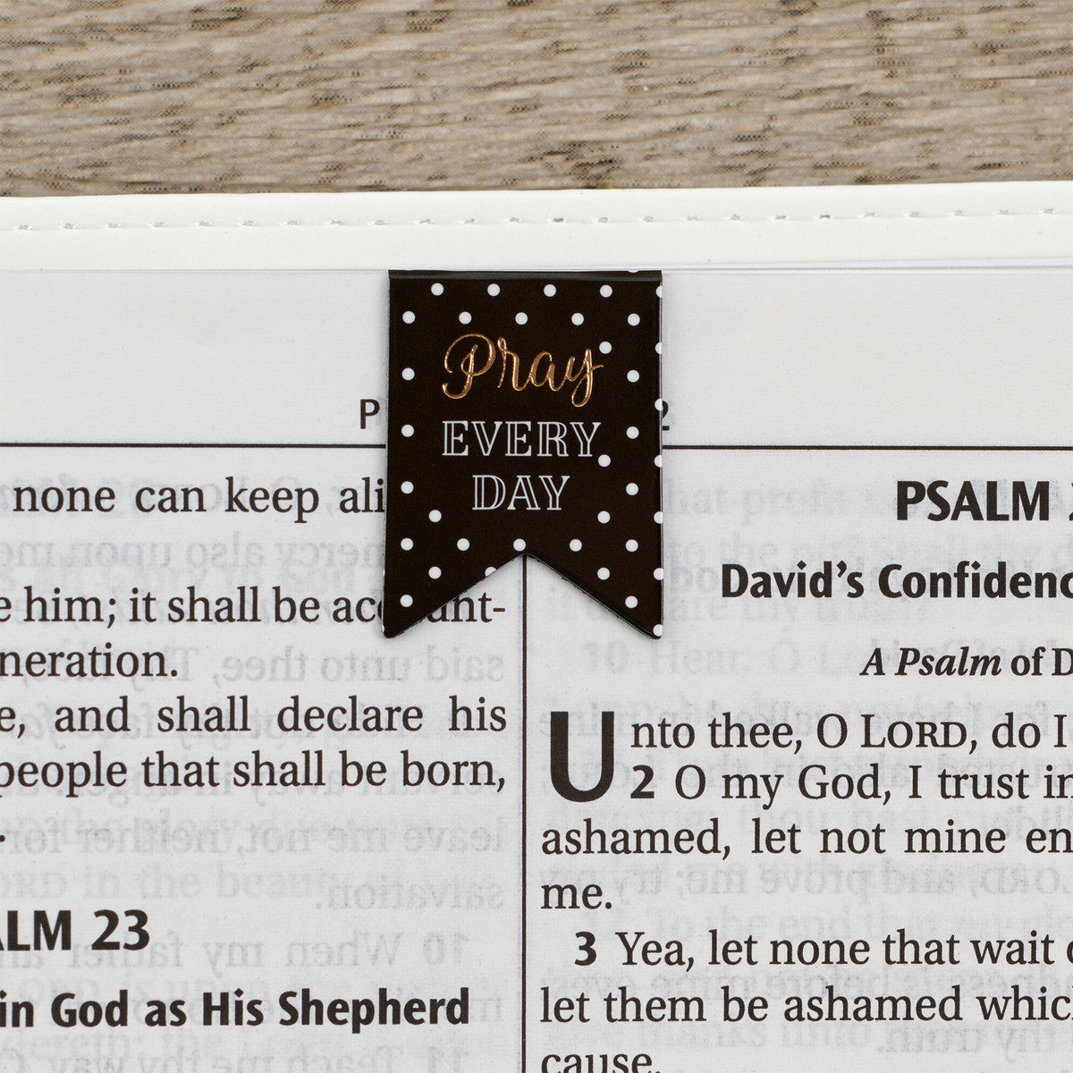 Pray Every Day Petite Die-Cut Magnetic Bookmark Set