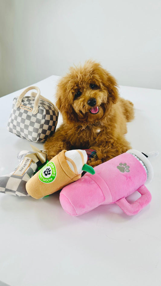 Simply Southern Squeaky Pet Dog Toy - Small Bag