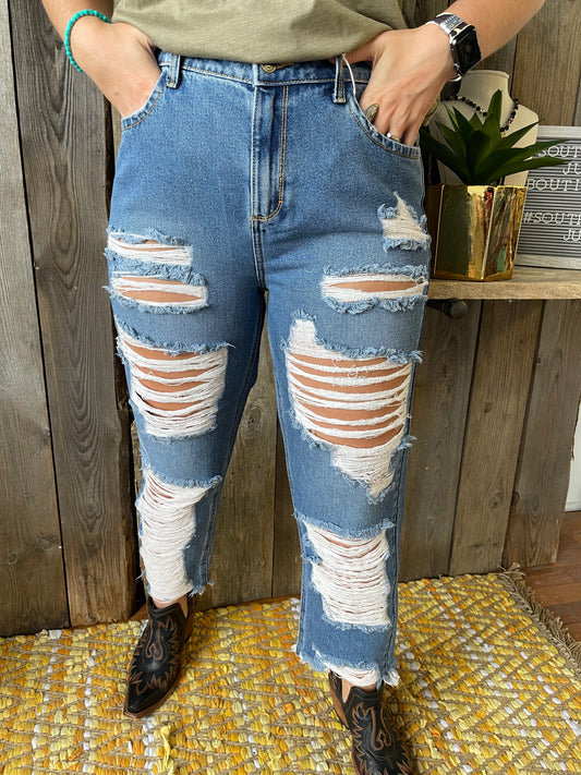 Cello Mandee Jean - High-Rise Distressed Cropped Straight
